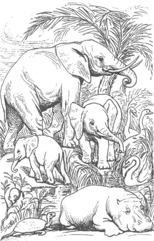 Иллюстрация к книге — Парнокопытные киты, четырехкрылые динозавры, бегающие черви... Новая палеонтология. Реальность, которая удивительнее фантазий [i_042.jpg]