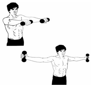 Иллюстрация к книге — Атлетизм без железа [any2fbimgloader22.jpg]