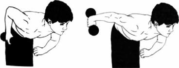 Иллюстрация к книге — Атлетизм без железа [any2fbimgloader27.jpg]