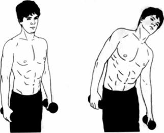 Иллюстрация к книге — Атлетизм без железа [any2fbimgloader28.jpg]