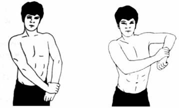 Иллюстрация к книге — Атлетизм без железа [any2fbimgloader5.jpg]