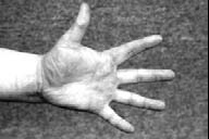 Иллюстрация к книге — Оздоровительно-боевая система "Белый Медведь" [_08.jpg]