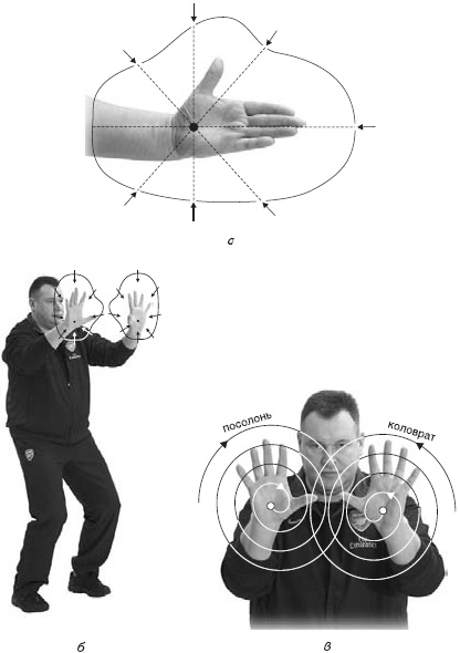 Иллюстрация к книге — Оздоровительно-боевая система "Белый Медведь" [_10.jpg]