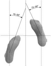 Иллюстрация к книге — Оздоровительно-боевая система "Белый Медведь" [_12.jpg]