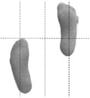 Иллюстрация к книге — Оздоровительно-боевая система "Белый Медведь" [_14.jpg]