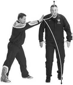 Иллюстрация к книге — Оздоровительно-боевая система "Белый Медведь" [_22.jpg]