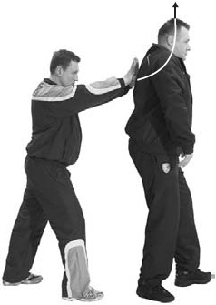 Иллюстрация к книге — Оздоровительно-боевая система "Белый Медведь" [_27.jpg]