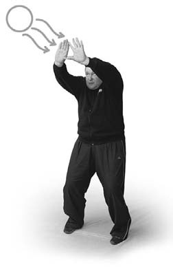 Иллюстрация к книге — Оздоровительно-боевая система "Белый Медведь" [_51.jpg]