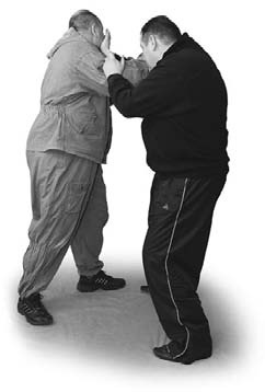 Иллюстрация к книге — Оздоровительно-боевая система "Белый Медведь" [_56.jpg]