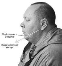 Иллюстрация к книге — Оздоровительно-боевая система "Белый Медведь" [_61.jpg]