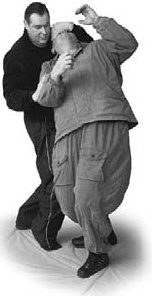 Иллюстрация к книге — Оздоровительно-боевая система "Белый Медведь" [_74.jpg]