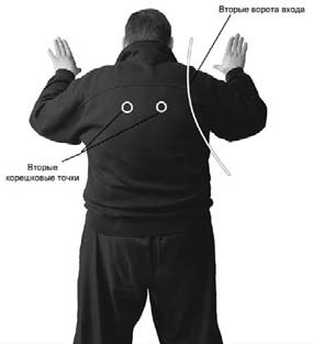 Иллюстрация к книге — Оздоровительно-боевая система "Белый Медведь" [_78.jpg]