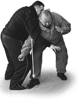 Иллюстрация к книге — Оздоровительно-боевая система "Белый Медведь" [_84.jpg]