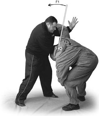 Иллюстрация к книге — Оздоровительно-боевая система "Белый Медведь" [_91.jpg]