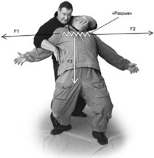 Иллюстрация к книге — Оздоровительно-боевая система "Белый Медведь" [_93.jpg]