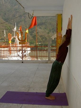 Иллюстрация к книге — Практика хатха-йоги. Ученик перед стеной [i_002.jpg]