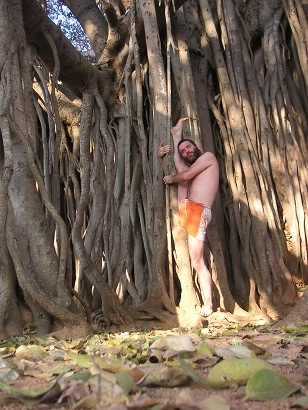 Иллюстрация к книге — Практика хатха-йоги. Ученик перед стеной [i_008.jpg]