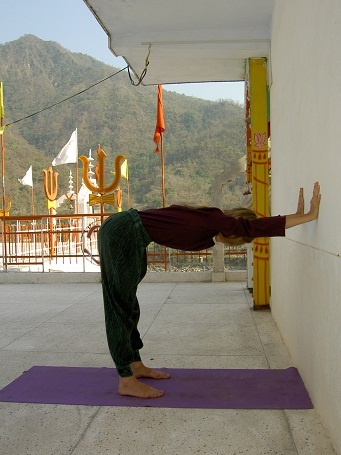 Иллюстрация к книге — Практика хатха-йоги. Ученик перед стеной [i_012.jpg]