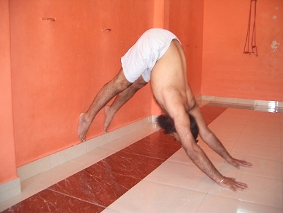 Иллюстрация к книге — Практика хатха-йоги. Ученик перед стеной [i_015.jpg]