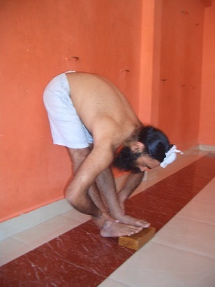 Иллюстрация к книге — Практика хатха-йоги. Ученик перед стеной [i_023.jpg]