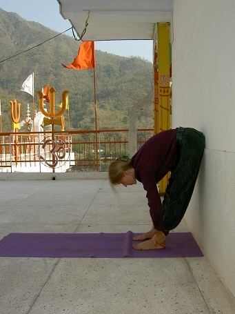 Иллюстрация к книге — Практика хатха-йоги. Ученик перед стеной [i_024.jpg]