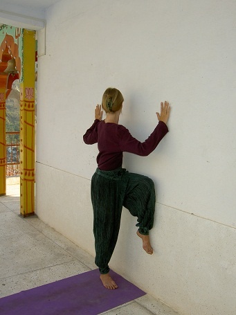 Иллюстрация к книге — Практика хатха-йоги. Ученик перед стеной [i_030.jpg]