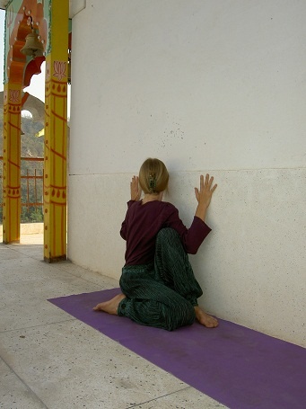 Иллюстрация к книге — Практика хатха-йоги. Ученик перед стеной [i_032.jpg]