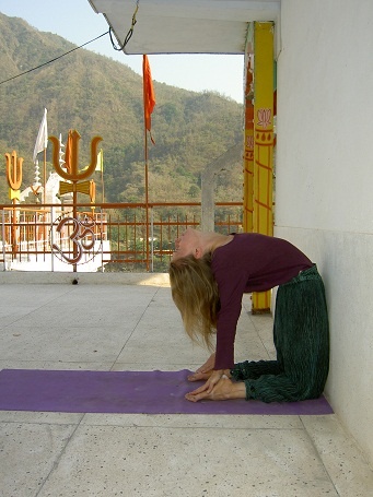 Иллюстрация к книге — Практика хатха-йоги. Ученик перед стеной [i_035.jpg]