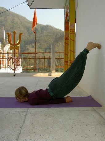 Иллюстрация к книге — Практика хатха-йоги. Ученик перед стеной [i_040.jpg]