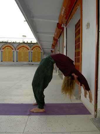 Иллюстрация к книге — Практика хатха-йоги. Ученик перед стеной [i_041.jpg]