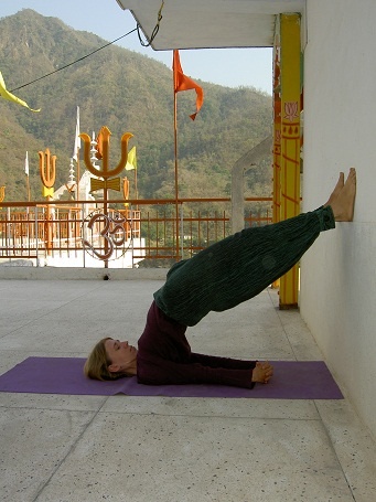 Иллюстрация к книге — Практика хатха-йоги. Ученик перед стеной [i_047.jpg]