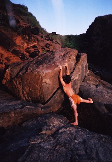 Иллюстрация к книге — Практика хатха-йоги. Ученик перед стеной [i_078.jpg]