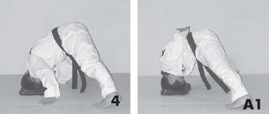 Иллюстрация к книге — Выживают сильнейшие. Физическая подготовка в практике боевых искусств и единоборств [i_006.jpg]