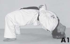 Иллюстрация к книге — Выживают сильнейшие. Физическая подготовка в практике боевых искусств и единоборств [i_008.jpg]