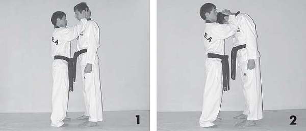 Иллюстрация к книге — Выживают сильнейшие. Физическая подготовка в практике боевых искусств и единоборств [i_009.jpg]