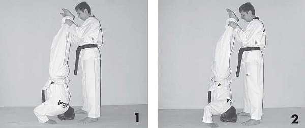 Иллюстрация к книге — Выживают сильнейшие. Физическая подготовка в практике боевых искусств и единоборств [i_011.jpg]