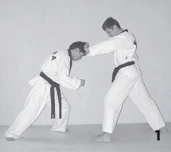 Иллюстрация к книге — Выживают сильнейшие. Физическая подготовка в практике боевых искусств и единоборств [i_012.jpg]