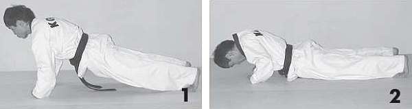 Иллюстрация к книге — Выживают сильнейшие. Физическая подготовка в практике боевых искусств и единоборств [i_014.jpg]