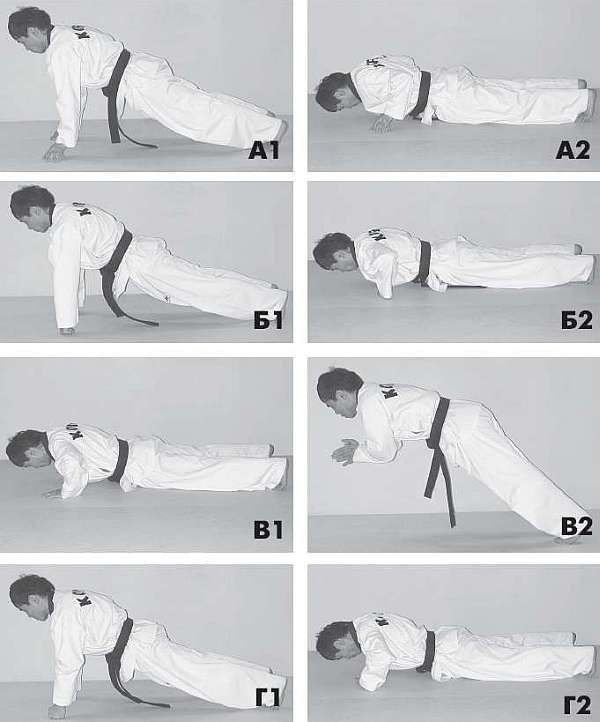 Иллюстрация к книге — Выживают сильнейшие. Физическая подготовка в практике боевых искусств и единоборств [i_015.jpg]