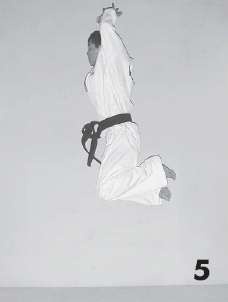 Иллюстрация к книге — Выживают сильнейшие. Физическая подготовка в практике боевых искусств и единоборств [i_019.jpg]