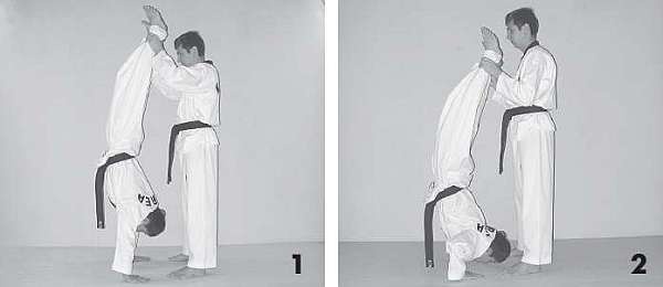 Иллюстрация к книге — Выживают сильнейшие. Физическая подготовка в практике боевых искусств и единоборств [i_021.jpg]