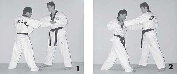 Иллюстрация к книге — Выживают сильнейшие. Физическая подготовка в практике боевых искусств и единоборств [i_024.jpg]