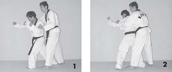 Иллюстрация к книге — Выживают сильнейшие. Физическая подготовка в практике боевых искусств и единоборств [i_037.jpg]