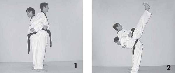 Иллюстрация к книге — Выживают сильнейшие. Физическая подготовка в практике боевых искусств и единоборств [i_043.jpg]