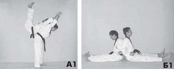 Иллюстрация к книге — Выживают сильнейшие. Физическая подготовка в практике боевых искусств и единоборств [i_044.jpg]