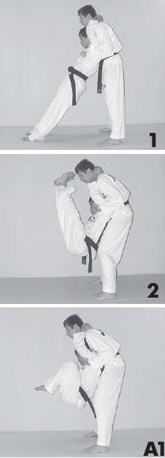 Иллюстрация к книге — Выживают сильнейшие. Физическая подготовка в практике боевых искусств и единоборств [i_060.jpg]