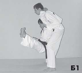 Иллюстрация к книге — Выживают сильнейшие. Физическая подготовка в практике боевых искусств и единоборств [i_061.jpg]