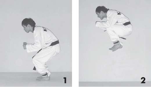 Иллюстрация к книге — Выживают сильнейшие. Физическая подготовка в практике боевых искусств и единоборств [i_068.jpg]