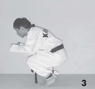 Иллюстрация к книге — Выживают сильнейшие. Физическая подготовка в практике боевых искусств и единоборств [i_069.jpg]