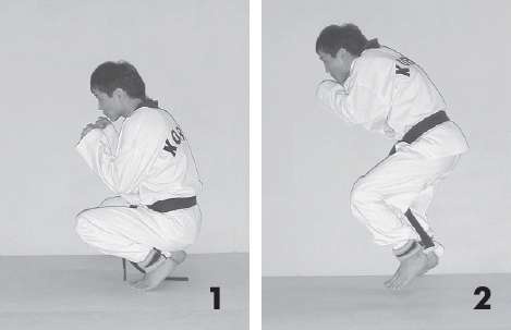 Иллюстрация к книге — Выживают сильнейшие. Физическая подготовка в практике боевых искусств и единоборств [i_072.jpg]